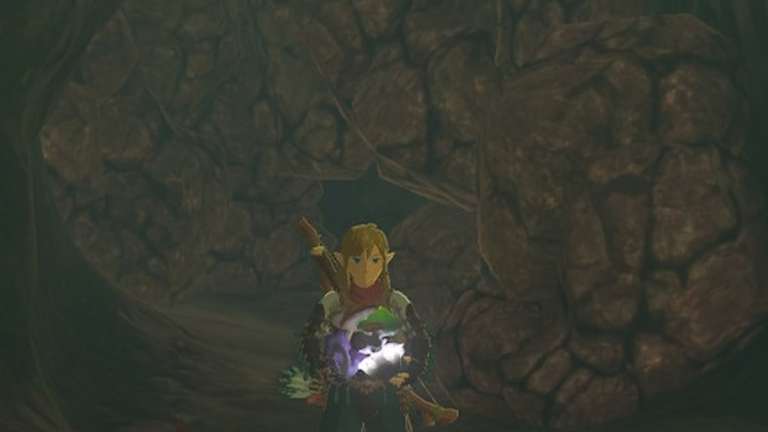 Où trouver des champignons Billson dans Zelda Tears of the Kingdom (TotK)