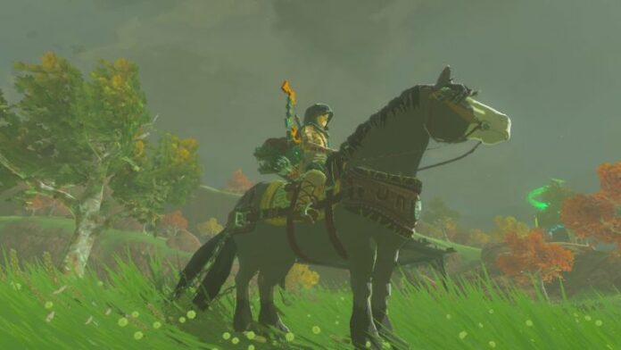 Zelda Tears of the Kingdom Horse in Hyrule