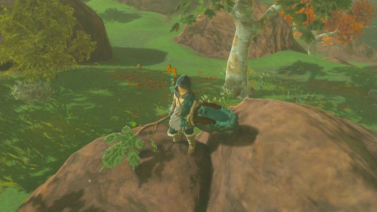 Zelda Tears of the Kingdom Korok leaf Frond Guster