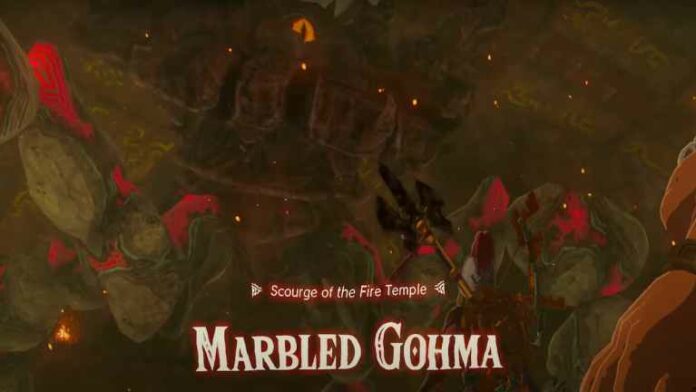 Comment battre Marbled Gohma dans Zelda Tears of the Kingdom (TOTK)
