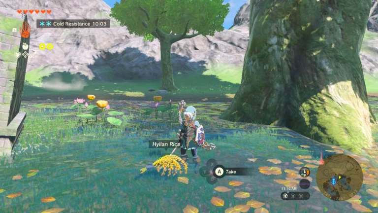 Comment cultiver Hylian Rice rapidement dans Zelda Tears of the Kingdom (TOTK)