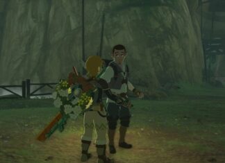 Zelda: Tears of the Kingdom - Guide de quête d'un voyage à travers l'histoire
