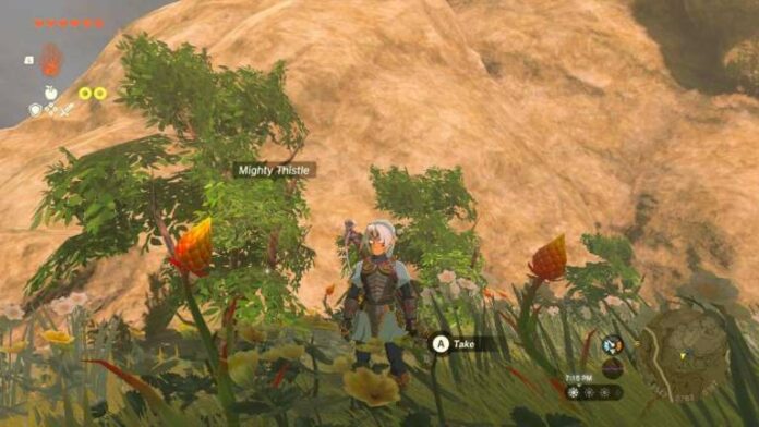 Comment cultiver Mighty Thistle rapidement dans Zelda Tears of the Kingdom (TOTK)
