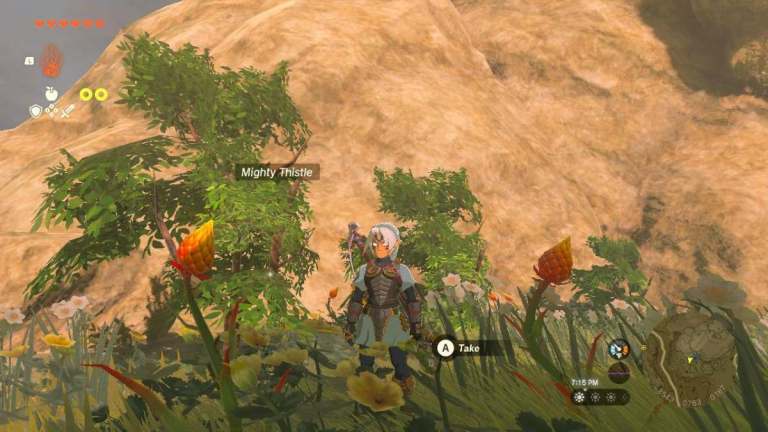 Comment cultiver Mighty Thistle rapidement dans Zelda Tears of the Kingdom (TOTK)