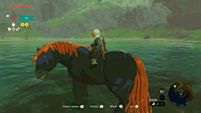 Meilleurs chevaux et où les trouver dans Zelda Tears of the Kingdom (TOTK)

