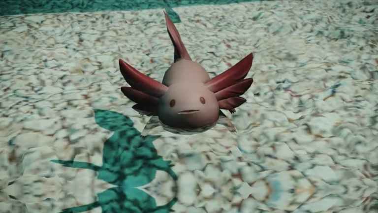 Comment débloquer la monture Megaloambystoma Axolotyl dans FFXIV