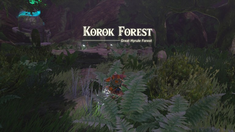 Zelda: Tears of the Kingdom - Comment se rendre à la forêt de Korok dans TotK