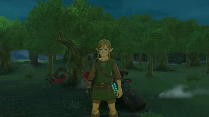 Zelda: Tears of the Kingdom (TotK) - Comment obtenir le héros de l'ensemble sauvage
