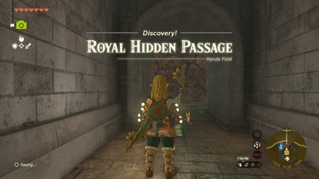 Entrée du Royal Hidden Passage dans Zelda Tears of the Kingdom