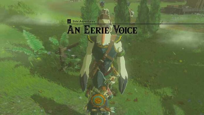 Zelda: Tears of the Kingdom (TotK) - Guide de quête d'une voix étrange
