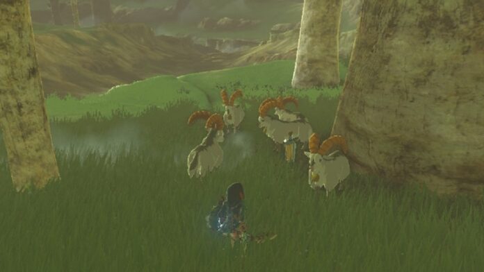 Zelda: Tears of the Kingdom (TotK) - White Goats Gone Missing Quest Guide
