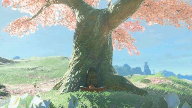 Zelda Tears of the Kingdom Offrande de l'arbre de fleurs de cerisier