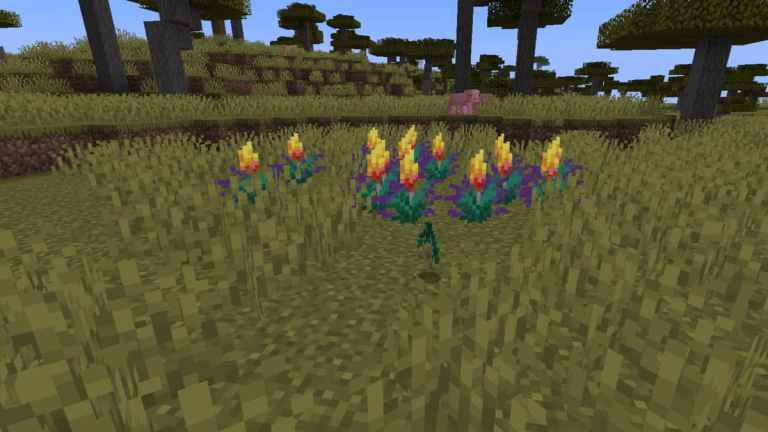 Comment obtenir des graines de Torchflower dans Minecraft