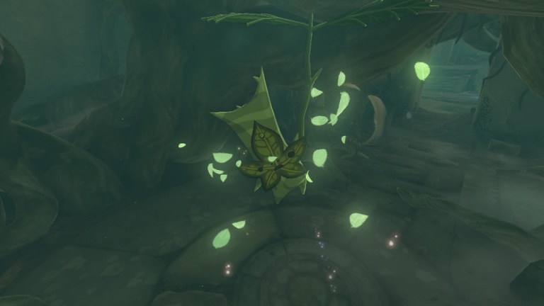 Zelda: Tears of the Kingdom - Tous les emplacements de graines de Korok de Great Sky Island à TotK