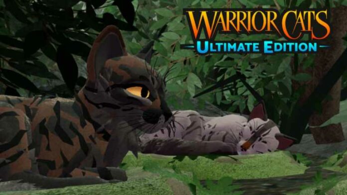 Codes Warrior Cats Ultimate Edition (juin 2023)
