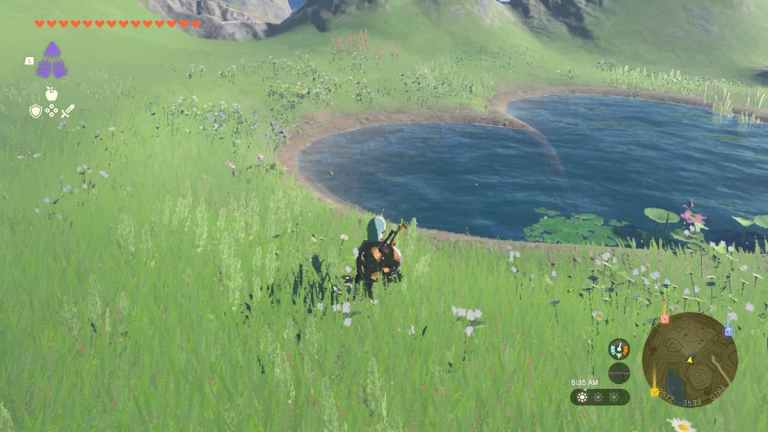 Que faire à Lover's Pond dans Zelda Tears of the Kingdom (TOTK)