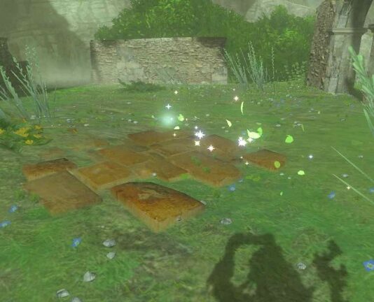 Zelda: Tears of the Kingdom - Tous les emplacements de semences du mont Lanayru
