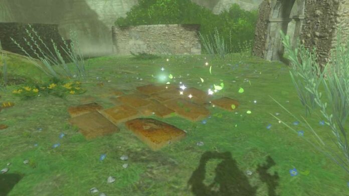 Zelda: Tears of the Kingdom - Tous les emplacements de semences du mont Lanayru
