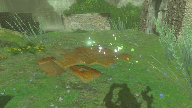 Zelda: Tears of the Kingdom - Tous les emplacements de semences du mont Lanayru