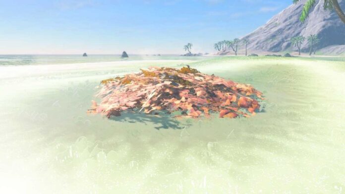 Zelda: Tears of the Kingdom - Tous les emplacements de graines de Necluda Est
