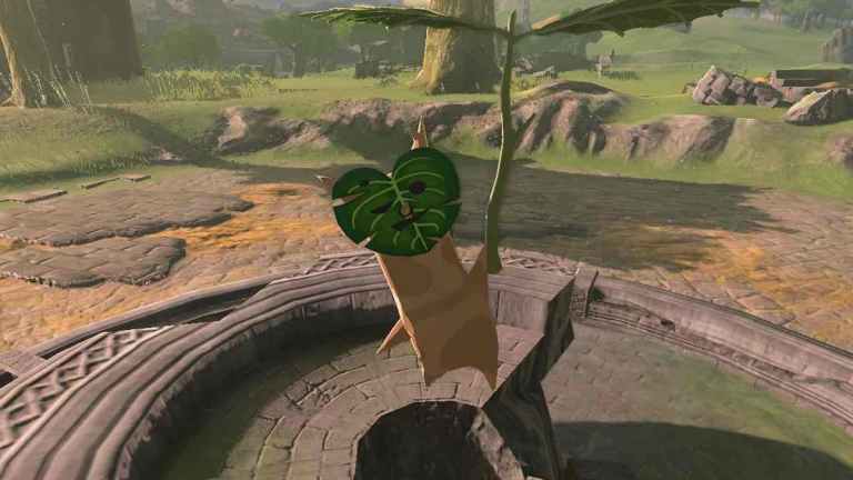 Zelda: Tears of the Kingdom - Tous les emplacements de graines de North Hyrule Field