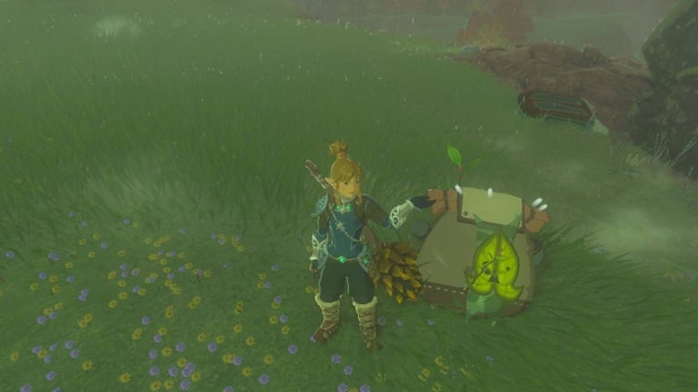 Zelda Tears Of The Kingdom Tous Les Emplacements De Graines D Akkala