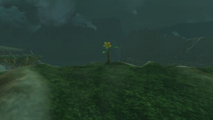 Zelda: Tears of the Kingdom - Tous les emplacements de graines de Korok d'Hyrule Ridge
