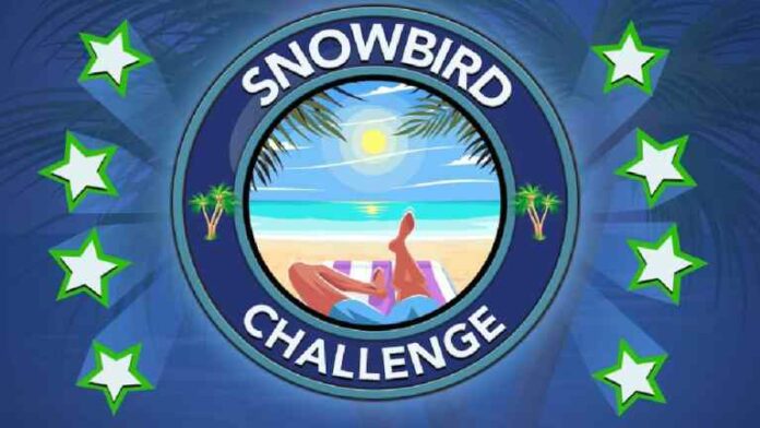BitLife - Comment relever le défi Snowbird
