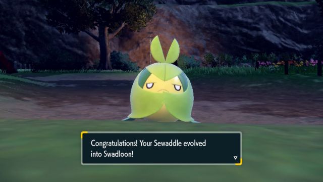 Sewaddle évolue en Swadloon dans Teal Mask DLC Pokemon Scarlet et Violet