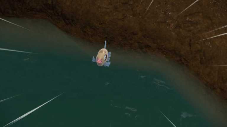 Où trouver Feebas (carte) dans le DLC Pokémon Scarlet & Violet Teal Mask