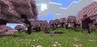 Comment trouver des biomes de fleurs de cerisier dans Minecraft

