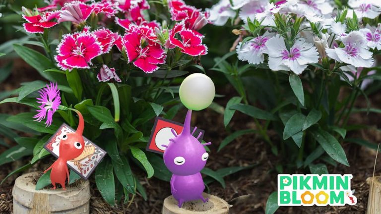 Codes amis Pikmin Bloom (octobre 2023)