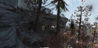 Fallout 76 : les meilleurs endroits pour cultiver des Radstags
