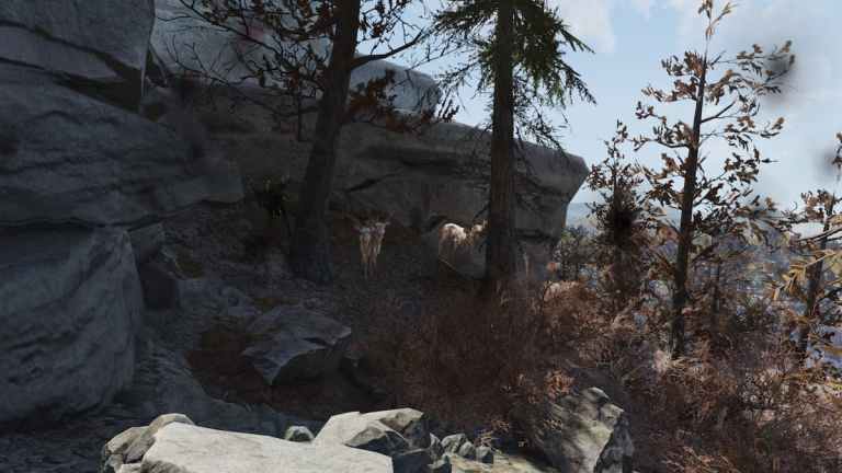 Fallout 76 : les meilleurs endroits pour cultiver des Radstags