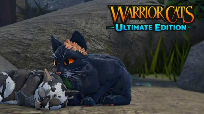 Comment terminer l'événement Halloween 2023 dans Warrior Cats: Ultimate Edition (Phase 1) - Roblox

