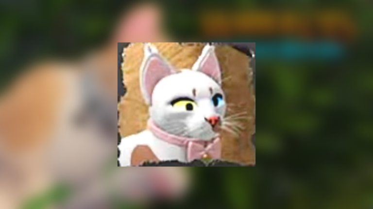 Où est Dawnie dans Warrior Cats : Ultimate Edition ?  -Roblox