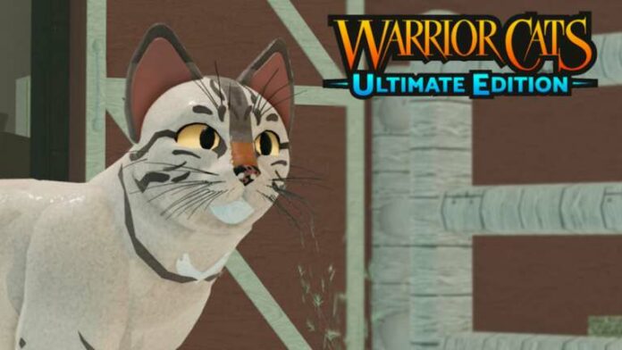 Comment déverrouiller la porte secrète de Mothermouth dans Warrior Cats: Ultimate Edition - Roblox
