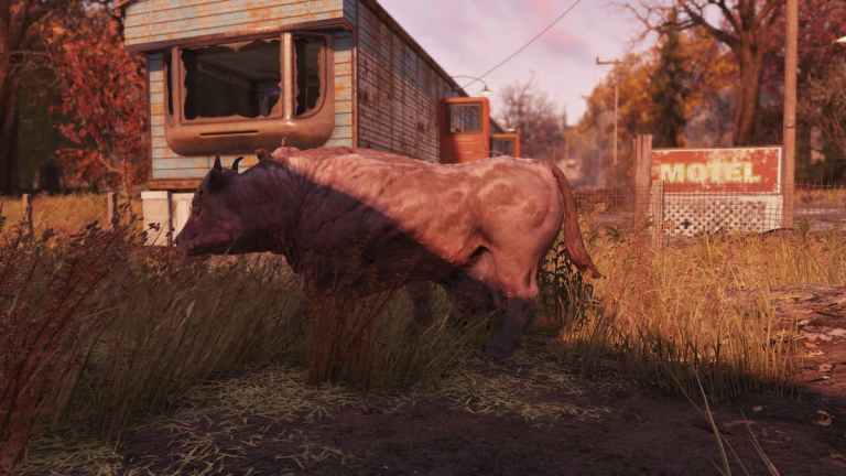 Fallout 76 : Comment traire un brahmane