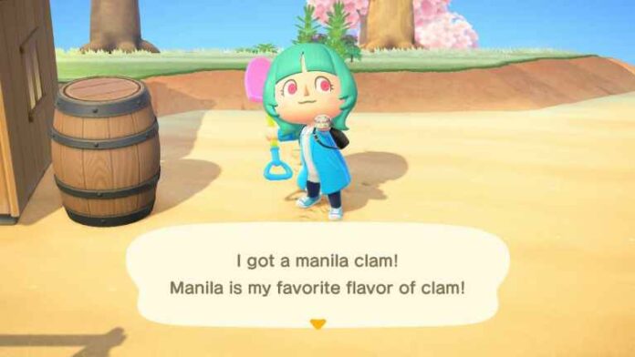 Comment obtenir des palourdes japonaises dans Animal Crossing
