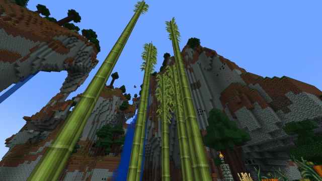 Cinq tiges imposantes de bambou jaillissent dans le ciel.