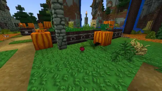 une betterave rouge sur l'herbe verte près des citrouilles dans Minecraft.