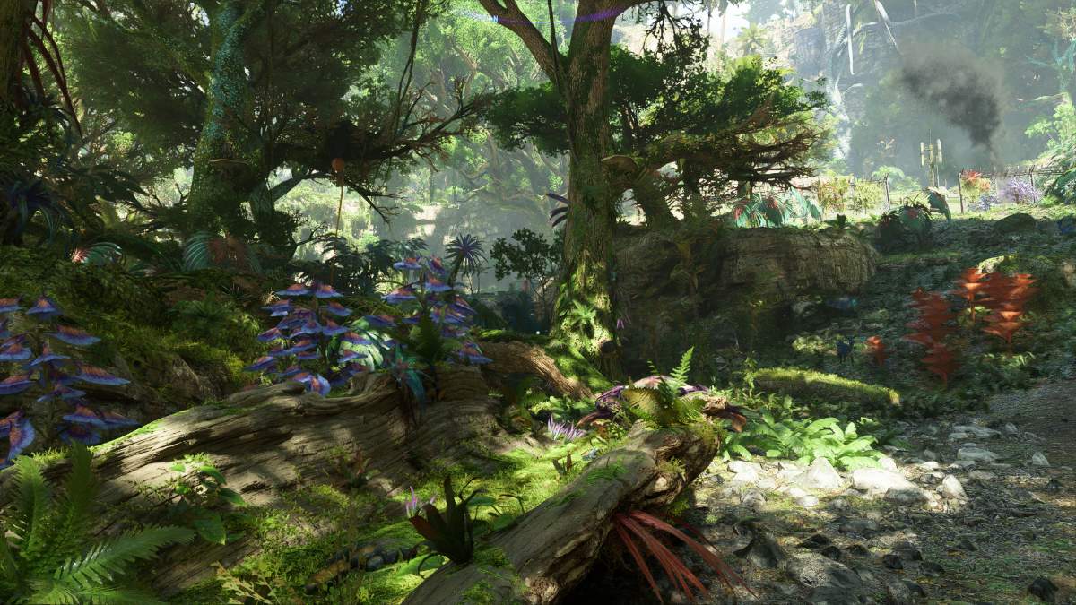 Capture d'écran des frontières de l'avatar du sol forestier de Pandora