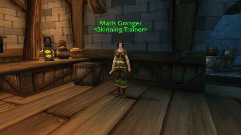 WoW Stormwind Skinning Trainer