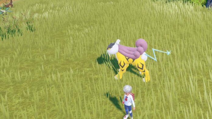 Meilleure nature pour Raikou dans Pokémon Écarlate et Violet

