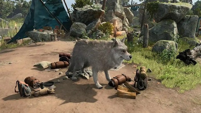 un druide sauvage se transformant en loup dans Baldur's Gate 3