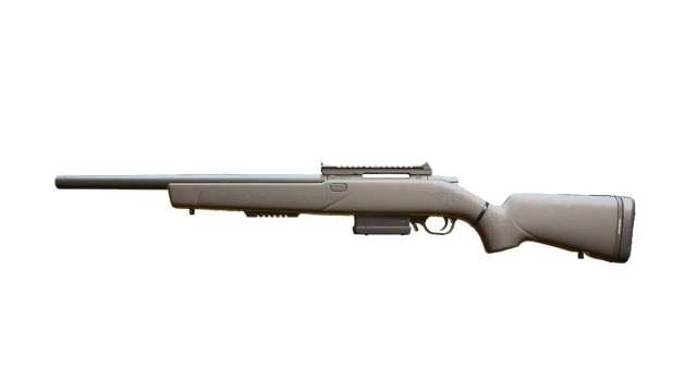 Fusil de tireur SPR 208 sur fond blanc