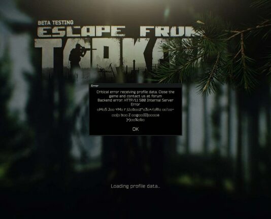 Loading profile data error screen in Escape From Tarkov