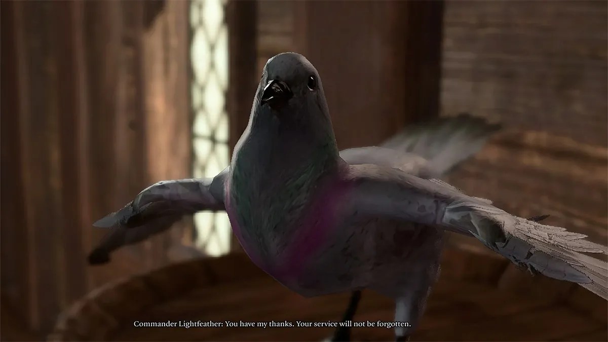 commandant Lightheart le pigeon dans Baldurs Gate 3