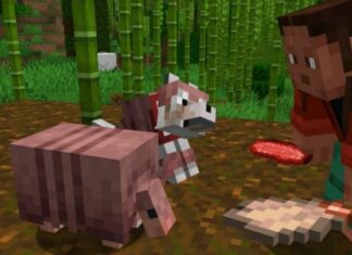 An armadillo and wolf in Minecraft
