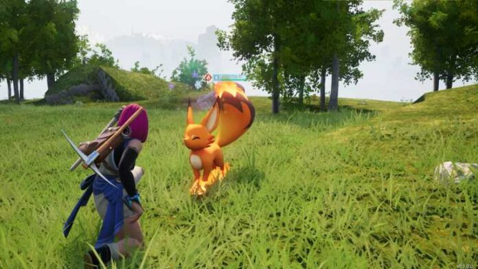 A player after petting a Foxparks pal on grassland.